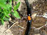 Слепая трубка для капельного полива "Хит пласт" Харків