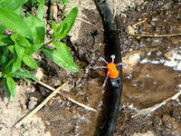 Слепая трубка для капельного полива "Хит пласт" Харків - фото 1