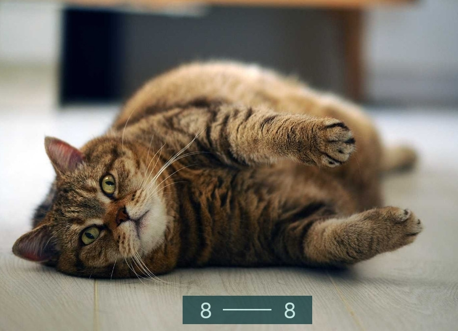 Объектив: NIKKOR 105/2.5 Ai . Прекрасный мануальный портрет от NIKON Киев - изображение 7