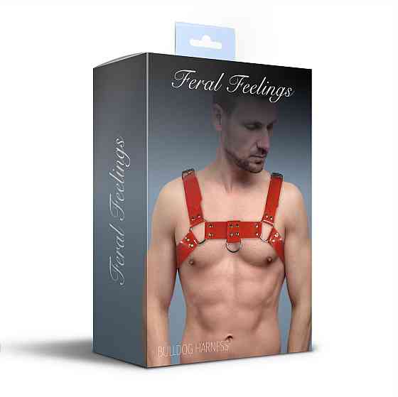 Чоловіча портупея на груди Feral Feelings - Bulldog Harness Red Sex Aura Київ