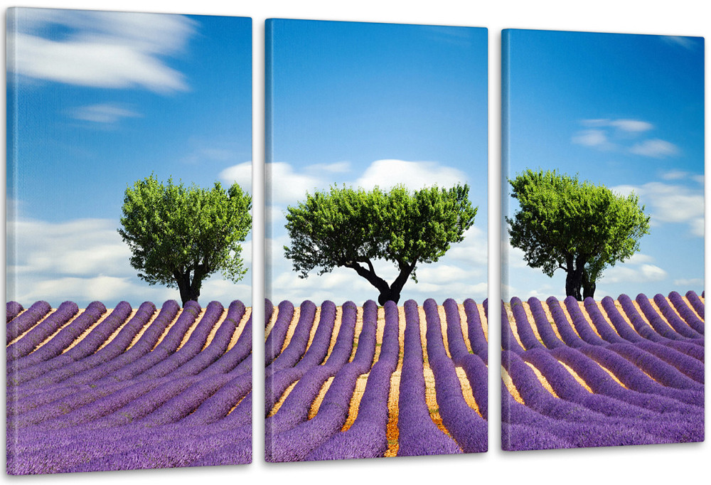 Модульна картина Природа Лаванда Art-46_3А Київ - фото 1