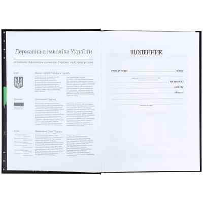 Дневник школьный Kite CyberRink, твердая обложка (K25-262-9) Винница