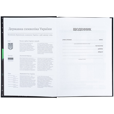 Щоденник шкільний Kite CyberRink, тверда обкладинка (K25-262-9) Вінниця - фото 4