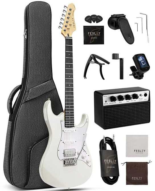 Электрогитара Fesley FST100 (комплект) Харьков - изображение 7