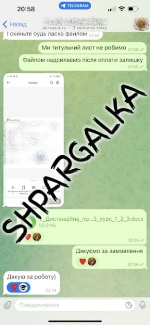 Проверка диссертации на академическую добропорядочность на заказ в Укр Днепр - изображение 4