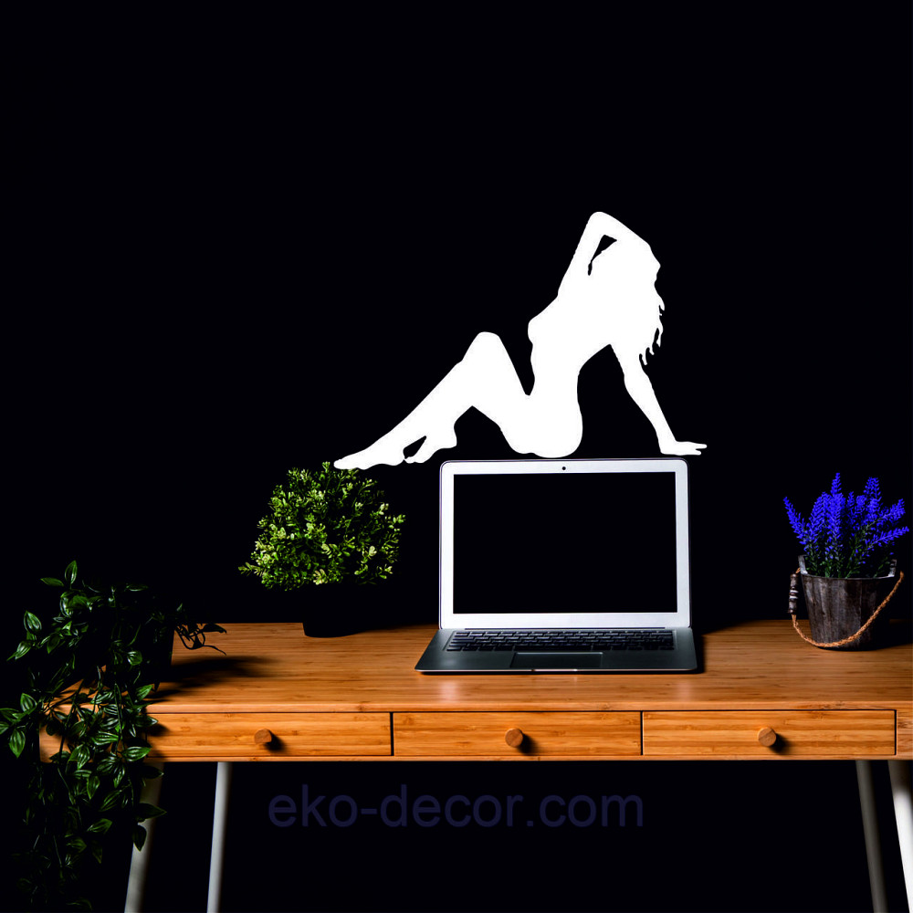 Декоративное настенное Панно «Стриптиз», Декор на стену 50*34 см, Белый Киев - изображение 6