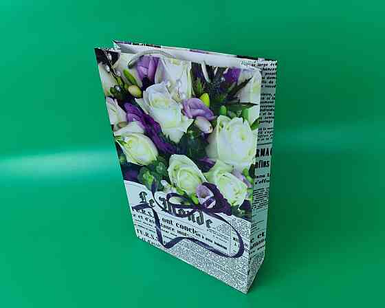Большой бумажный пакет вертикальный  25/37/8(артBV-070) (12 шт) Харьков