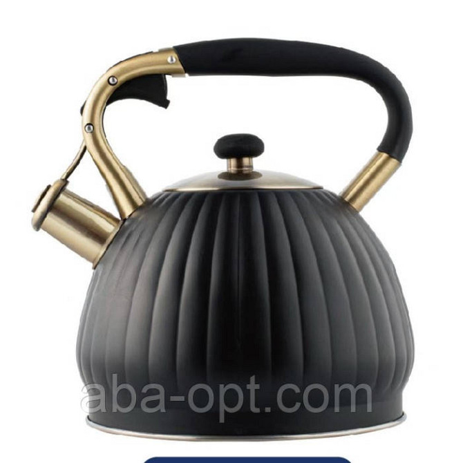 Чайник із чорним свистком Модерн V 3 л ( шт ) Одеса - фото 1