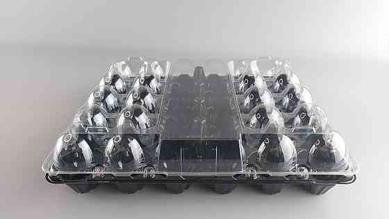 Упаковка для куриных яиц 30 ячеек низ черная (50 шт) Харьков