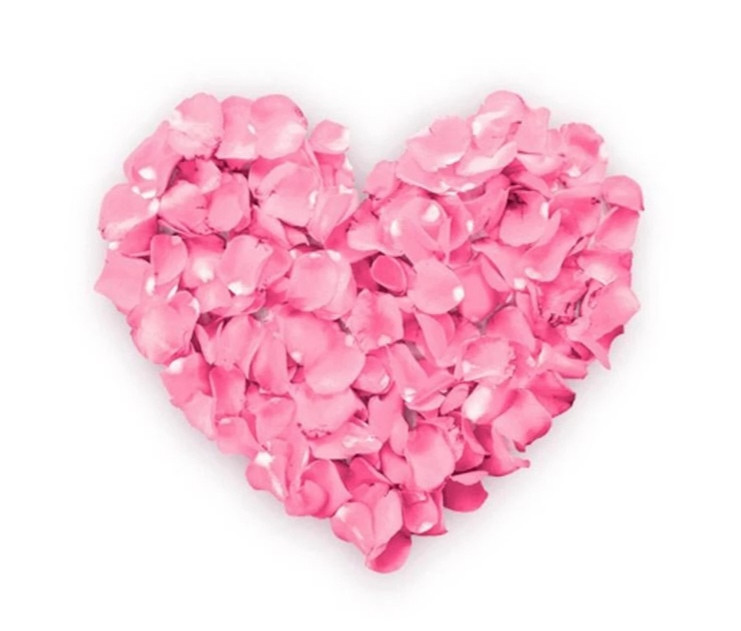 Термоаппликация для ткани Сердце в цветах Киев - изображение 1