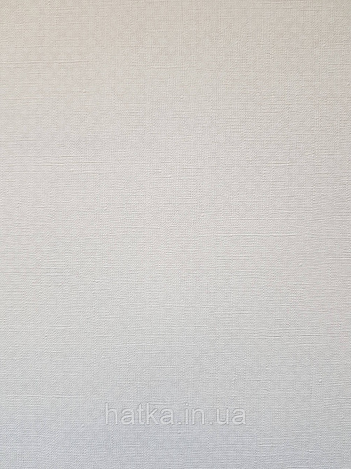 Шпалери вініл на флізеліні A.S.Creation Maison charme 0.53x10 у крапку дрібну сіточку бежеві білі Київ - фото 3