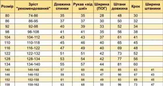 Черный демисезонный костюм лео серый (толстовка на молнии+брюки) Каменец-Подольский