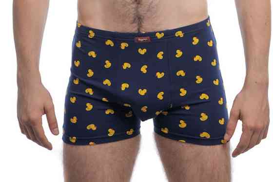 Труси чоловічі шорти Bono 950323 46, Динозаври Київ