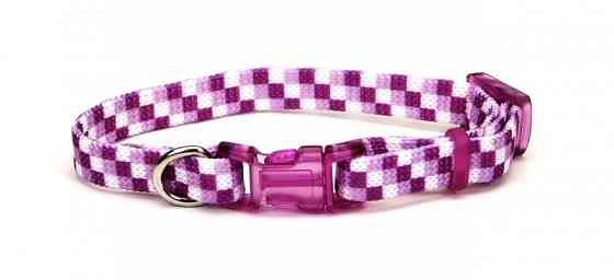 Coastal Li`l Pals КОСТАЛ ЛІТТЛ ПЕЛС ошейник для собак, нейлон Киев