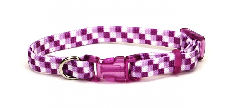 Coastal Li`l Pals КОСТАЛ ЛІТТЛ ПЕЛС ошейник для собак, нейлон Киев - изображение 1