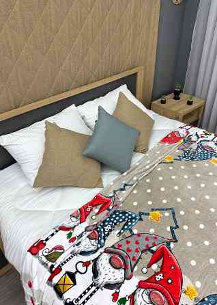 Плед-покрывало 200х230 см с рождественским принтом Разноцветный (87-320) Киев