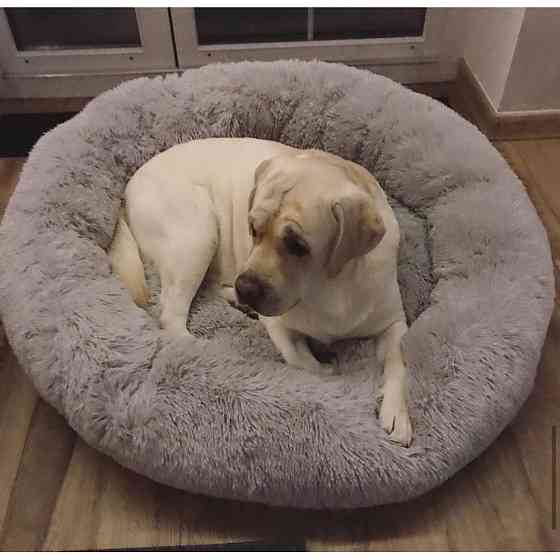 Лежанка для котів і собак Incor «Ворс» сіра XXL (90см) Київ