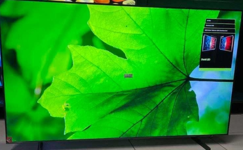 Телевизор Безрамный: 75