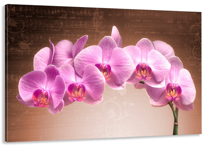 Модульная картина в гостиную / спальню Орхідея    MLP_103 80x120 см Киев - изображение 1