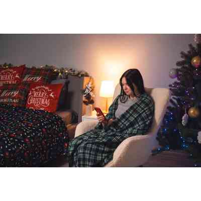 Плед Ardesto Christmas Fleece 130x160см, 100% поліестер, клітинка, зелений (ART0718PB) Вінниця