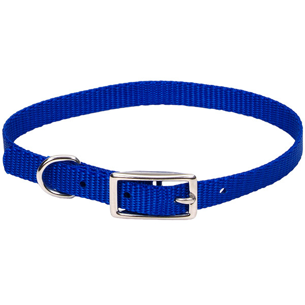 Coastal Nylon Web КОСТАЛ НАЙЛОН ВЕБ ошейник для собак, 1х25см Киев - изображение 5