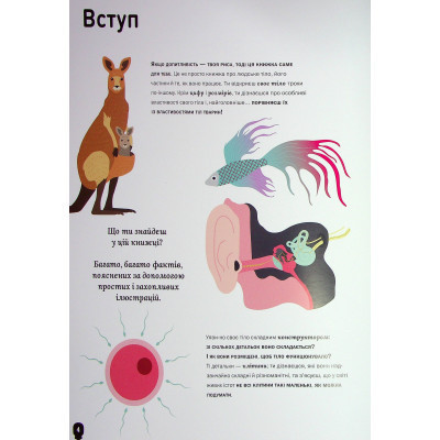 Книга Тіло людини - Кристина Перабоні Жорж (9786177853199) Винница - изображение 11