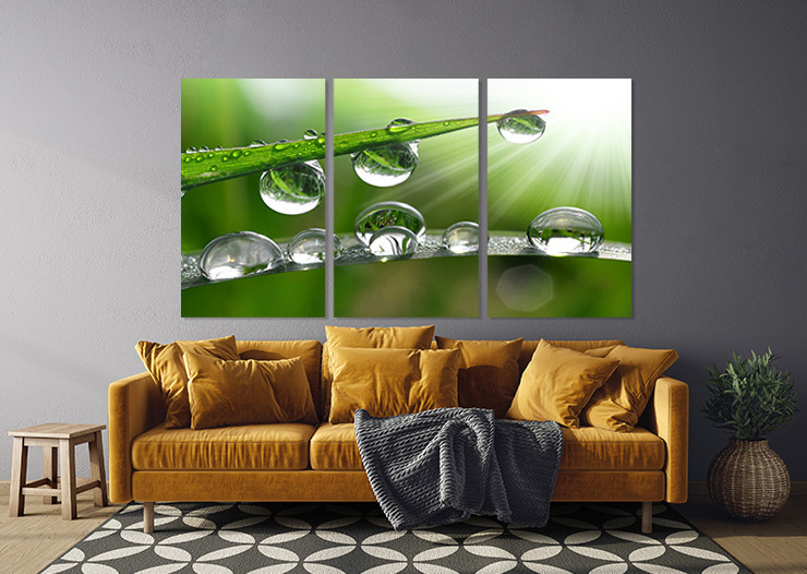 Модульная картина в гостиную / спальню  Краплі роси      ART-307_3A 100х150 см Киев - изображение 3