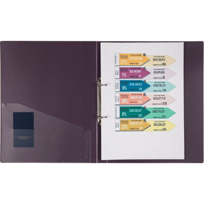 Папка на кольцах Axent А4 с 2-мя кольцами 700 мкм 25 мм Сливовая (1207-11-A) Винница - изображение 2