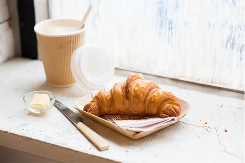 S500 КРУАСАН 15kg Специализированный улучшенный Павлоград - изображение 2