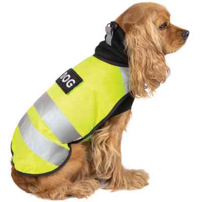 Жилет для тварин Pet Fashion "Warm Yellow Vest" XS (4823082417216) Вінниця