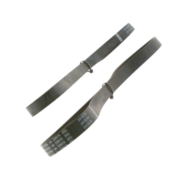 Ремень ручейковый 6PK1059 , 5PK868 Ford Focus 1.4, 1.6i 03- генератора Мукачево - изображение 3