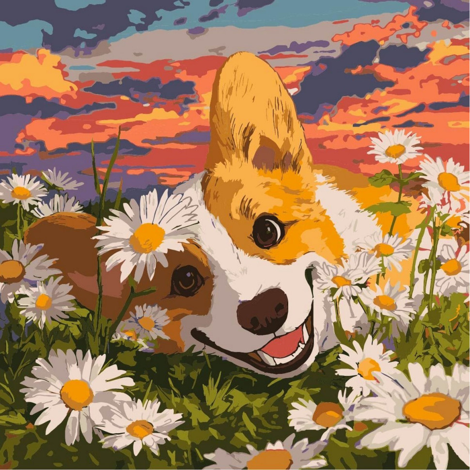 Картина за номерами "Коргі в ромашках" ©art_selena_ua KHO6798, 40х40 см Вінниця - фото 1