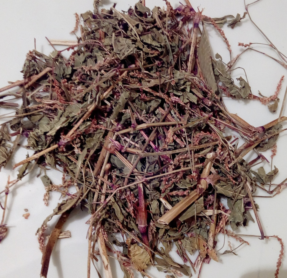 Горец перечний / Водяной перец / Горец , 100г. MasterSEM Киев - изображение 1