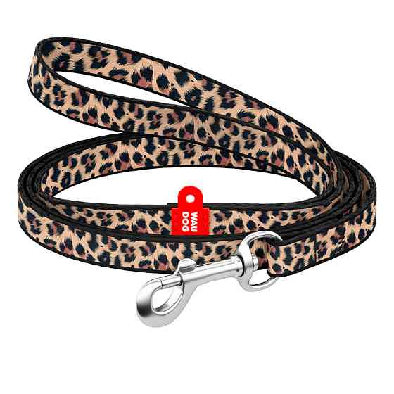 Повідець для котів та дрібних порід собак нейлоновий WAUDOG Nylon, малюнок "Леопард", XS, Ш 10 мм, Дов 122 см Київ