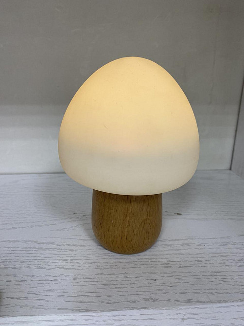 Б/У Детский LED ночник AsDlg «Гриб» RGB, силиконовый, аккумуляторный, USB-зарядка, настольный Киев - изображение 2