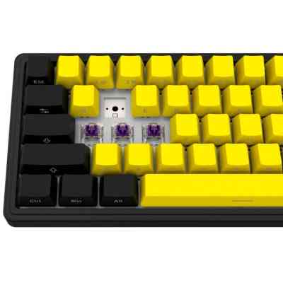 Клавиатура Lorgar KBP70MW Pro RGB Wireless/Bluetooth/USB UA Black/yellow (LRG-KBP70MW-YL-US) Винница