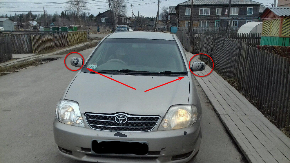 Наклейка на авто или мото Питбуль Белая светоотраж Киев - изображение 6