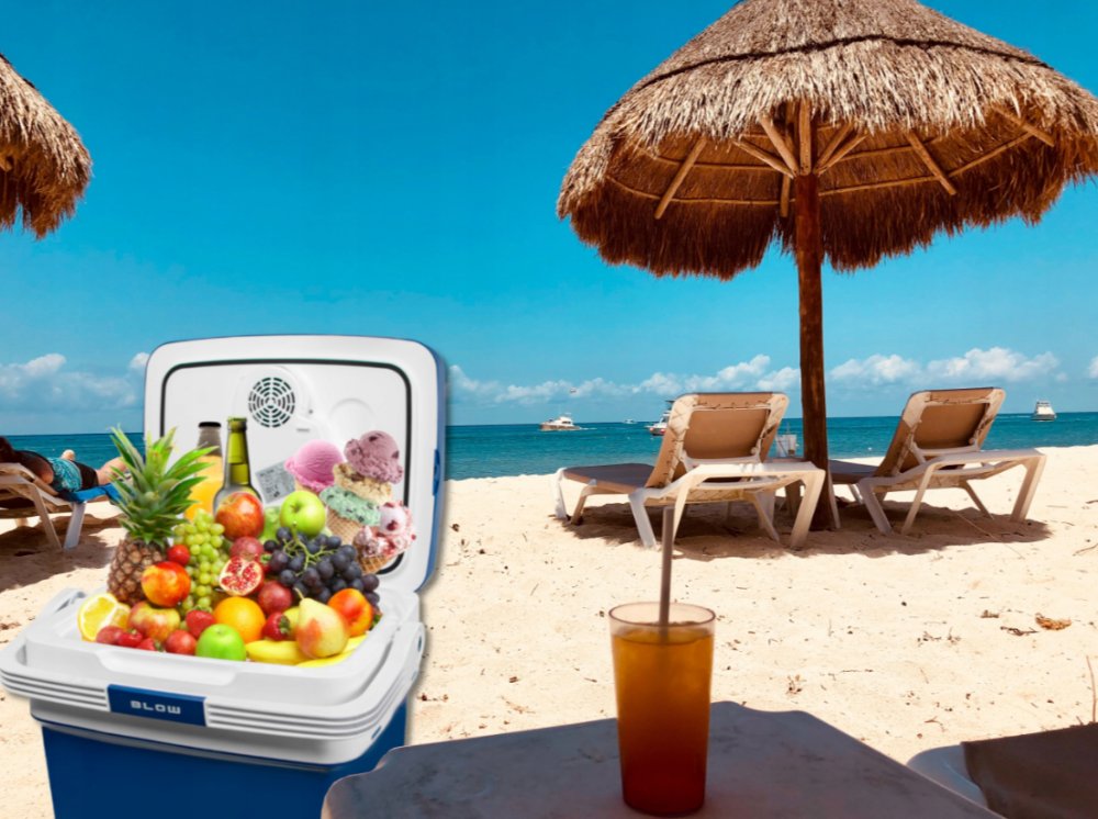 Автохолодильник 12В/230В 32л Blow (Польша) Киев - изображение 10