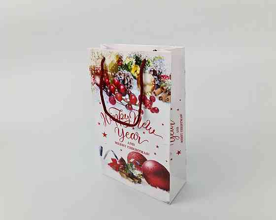 Новогодние пакеты для подарков, средний 17x26x8-007 (12 шт) Харьков