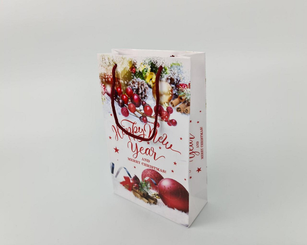 Новогодние пакеты для подарков, средний 17x26x8-007 (12 шт) Харьков - изображение 3