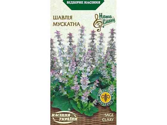 Шалфей Мускатный (20 пачек) 0.2г ТМ НАСИКА УКРАИНЫ Киев