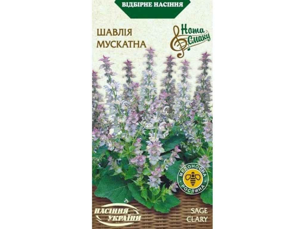 Шалфей Мускатный (20 пачек) 0.2г ТМ НАСИКА УКРАИНЫ Киев - изображение 1