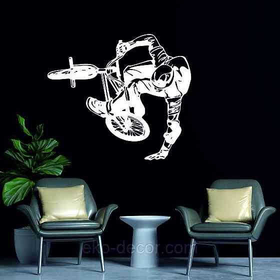 Декоративне настінне Панно «Велофрістайл», Декор на стіну Київ