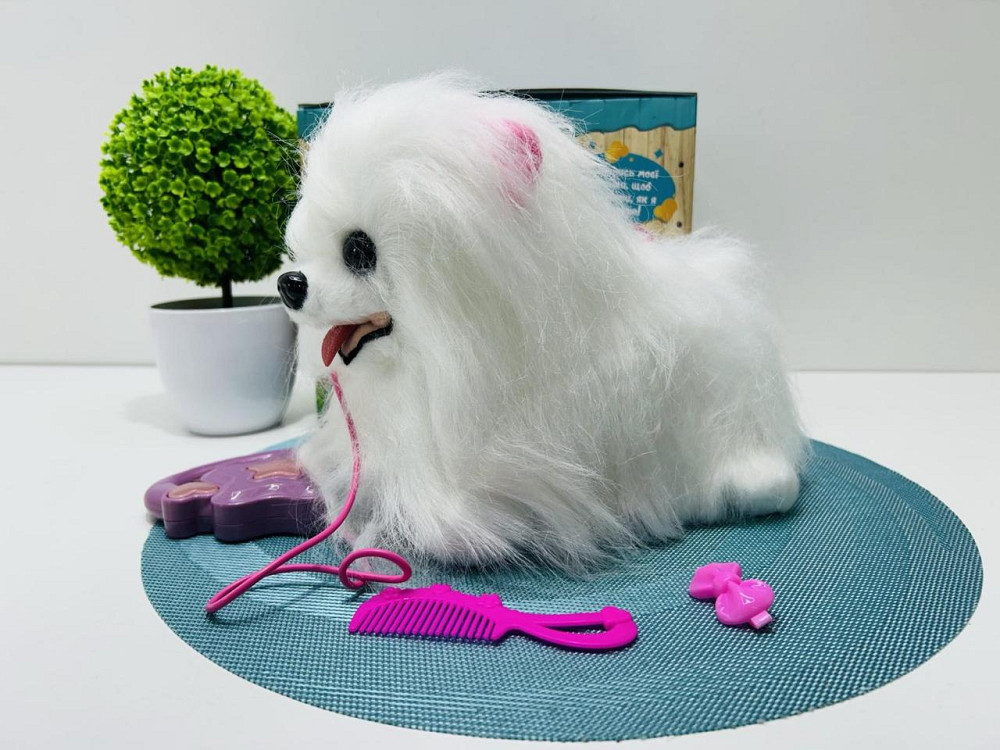 Собачка інтерактивна на пульту Ши-тцу з повідцем сенсорна музика та звуки українською гавкає Біла (M 6212 I UA) Чернигов - изображение 4