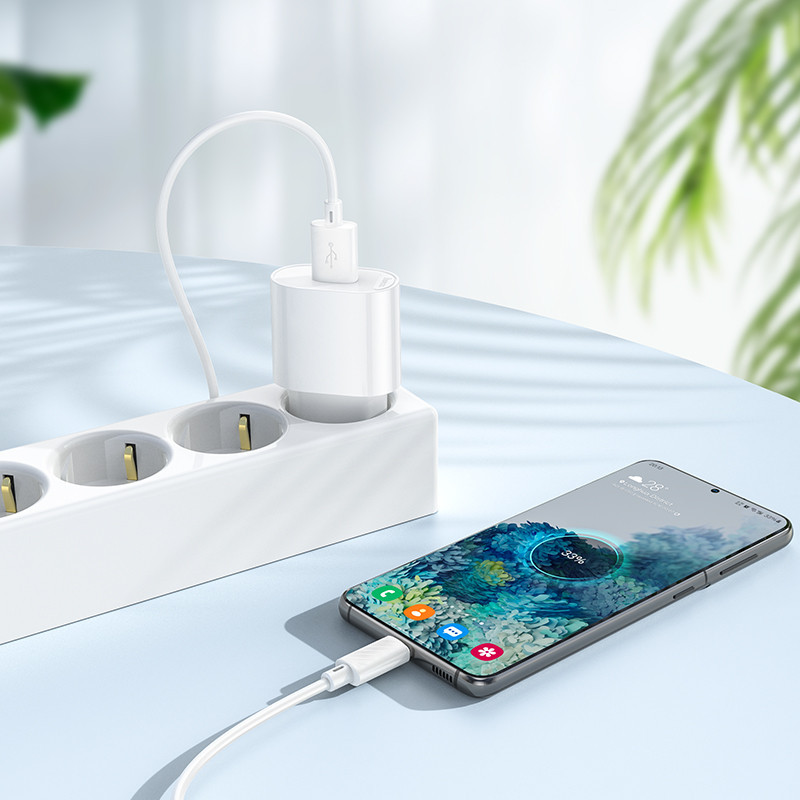Сетевое зарядное устройство с кабелем HOCO C109A(10.5W) Fighter single port charger set(Micro) White Одесса - изображение 8