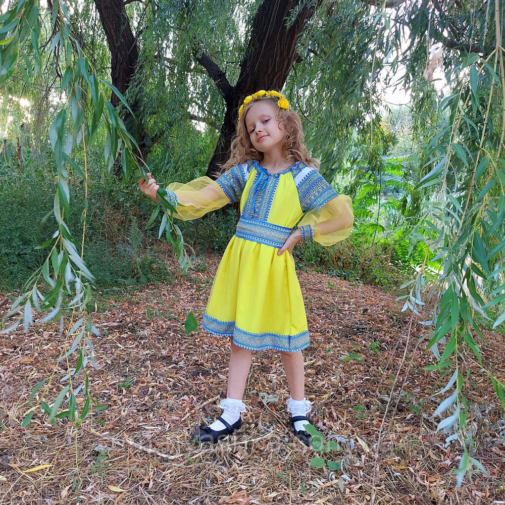 Сукня вишиванка жовто-синя Казкова тканна Кривий Ріг - фото 6