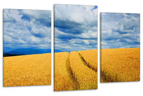 Модульная картина в гостиную / спальню  Поле пшениці  Art-678_3 70x130 см Киев