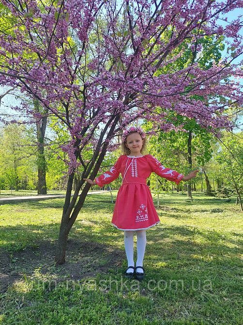 Плаття вишиванка рожеве з ластівками 104-158 Кривий Ріг - фото 5