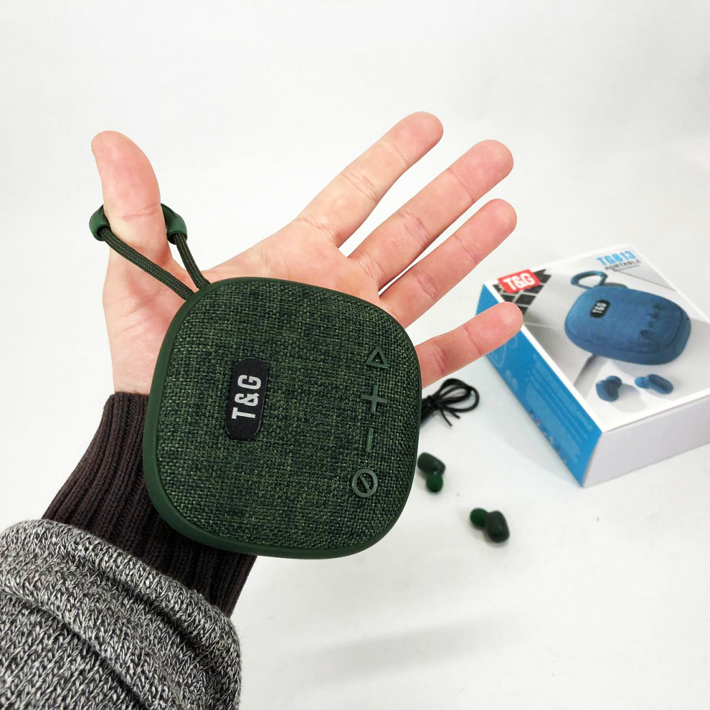 Колонка для вечірок на дачі TG813, Недорогі портативні колонки, Блютуз аудіо приймач QD-67 Львів - фото 7