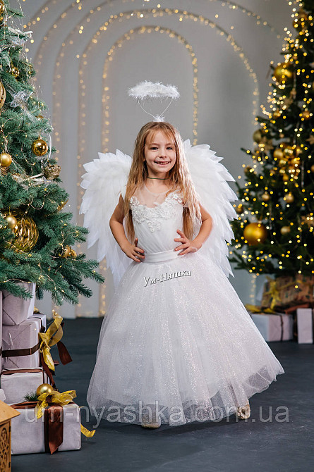 Крылья Ангела большие сердцем Кривой Рог - изображение 10